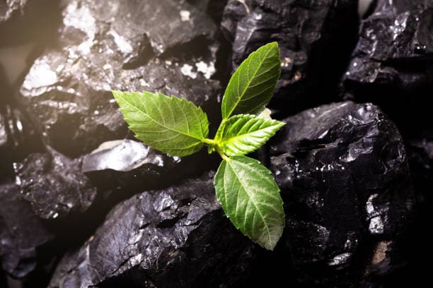 ACF-C: Advanced Coal Combustion Catalyst